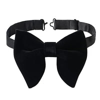 Butterfly Bow Tie - Harrys for Menswear