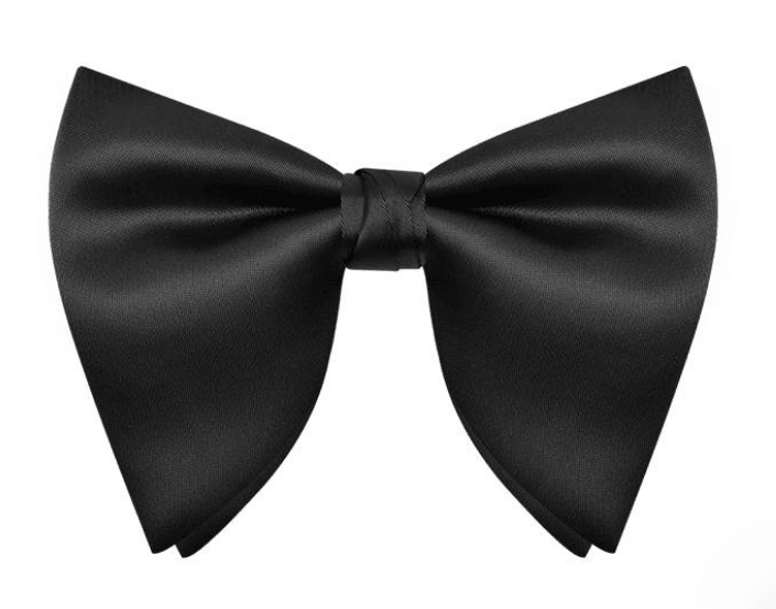 Butterfly Bow Tie - Harrys for Menswear