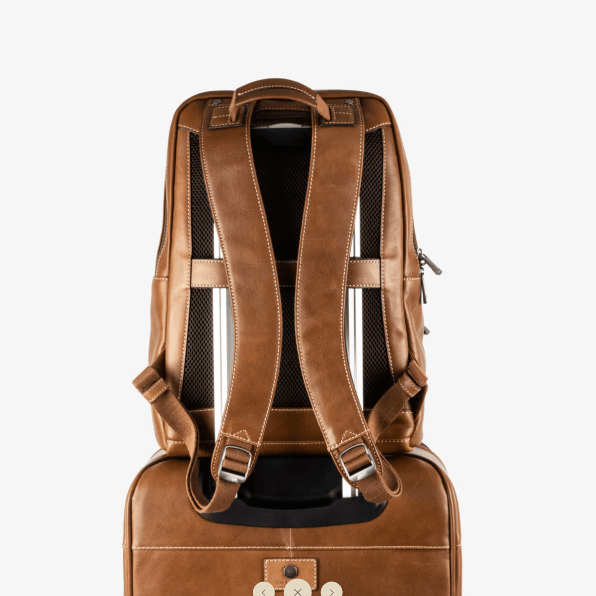 Montana Leather Backpack Colt - Harrys for Menswear