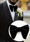 Butterfly Bow Tie - Harrys for Menswear