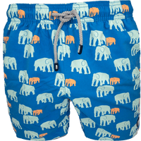 Elephant Chalky - Blue - Harrys for Menswear